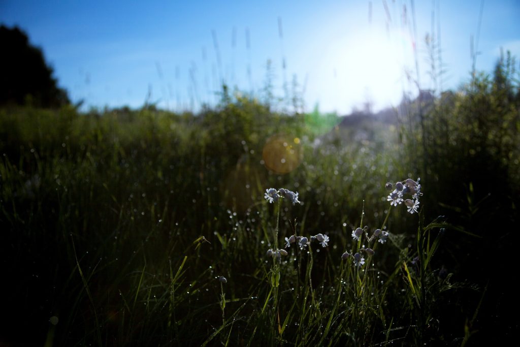 Agro-environnementales