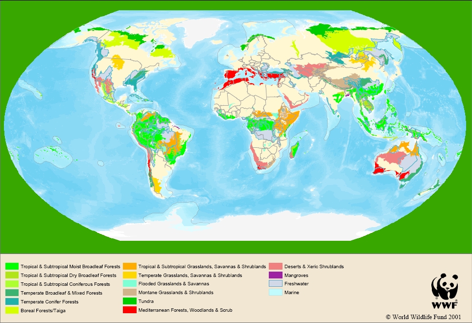 Qu’est-ce que la biodiversité