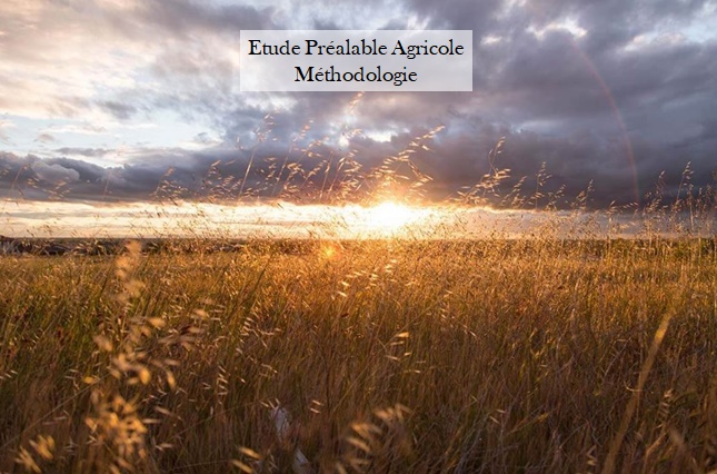 Développement et accompagnement méthodologique pour l’étude préalable agricole