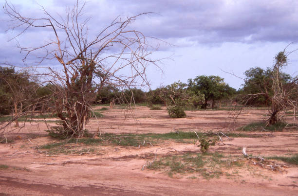 Préfiguration d’un opérateur de compensation au Burkina Faso
