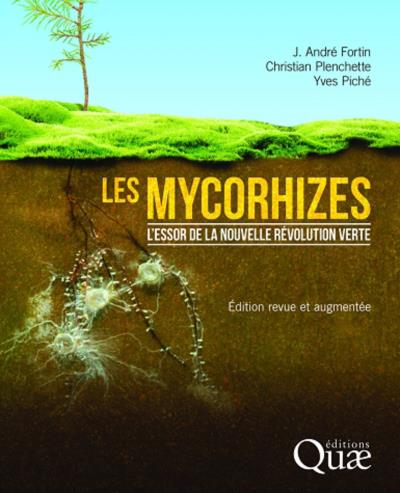 R&D – Mycoremédiation et dépollution des sols