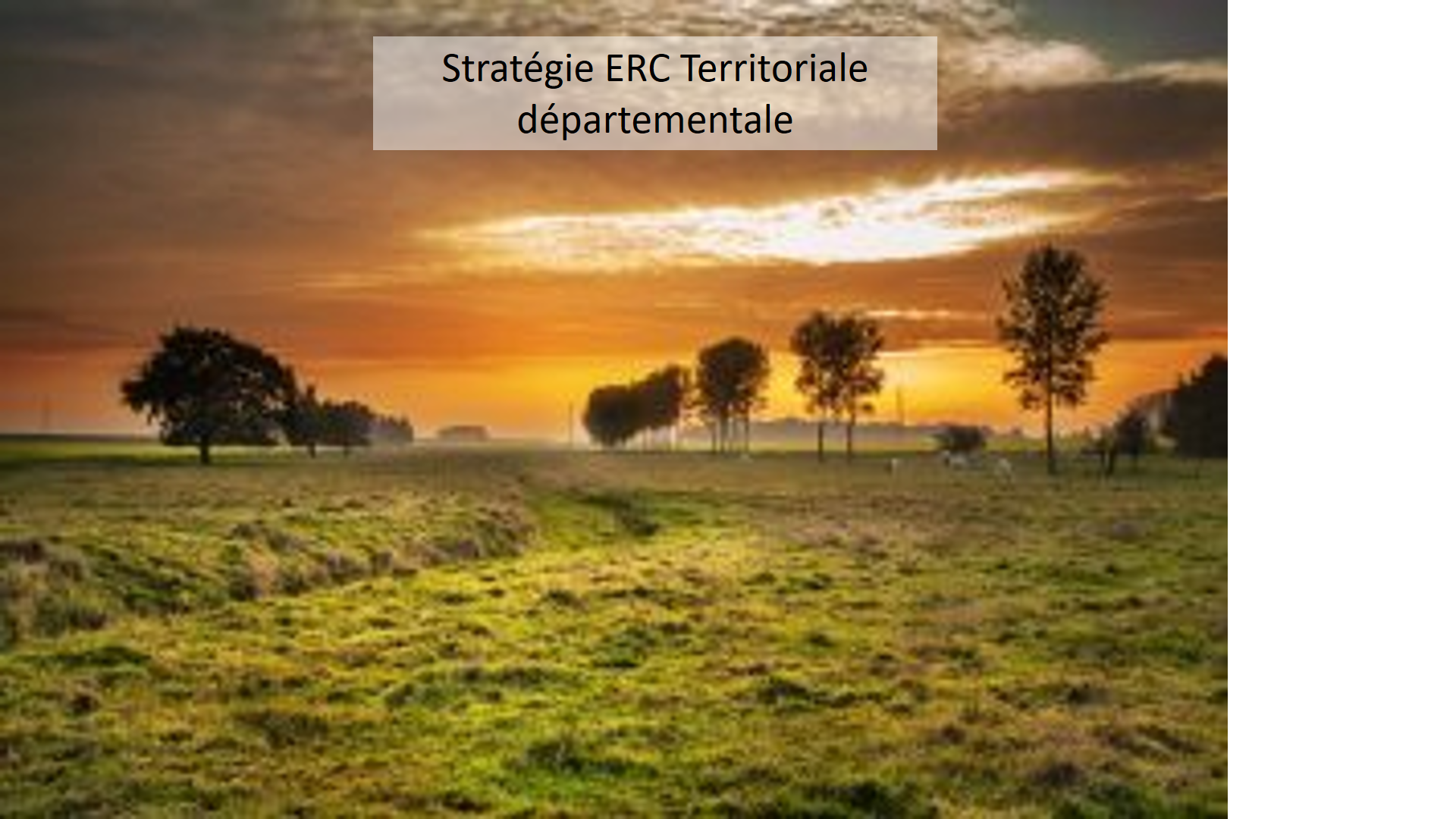 Politique Publique : Stratégie ERC Territoriale départementale