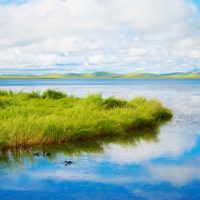 chang-qing-2YQoKbyGvDc-unsplash chang-qing-2YQoKbyGvDc-unsplash