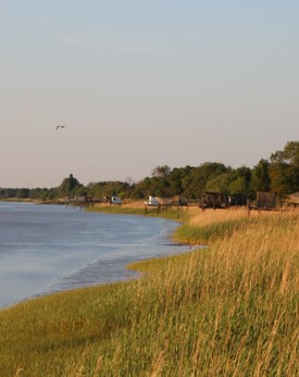 Création d&rsquo;un opérateur public ERC écologique – Conseil départemental de la Gironde