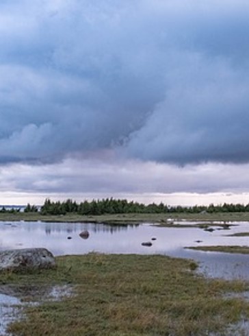 Création d’un opérateur ERC écologique agricole et forestier – Conseil départemental des Landes