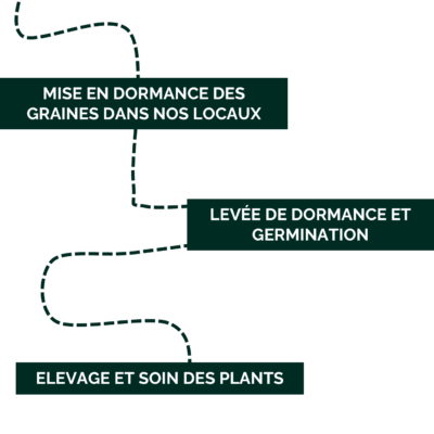 schemastratif_vert schemastratif_vert