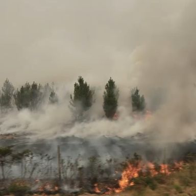 incendie-gironde-flammes-27-juillet-2026-df13e8-0@1x